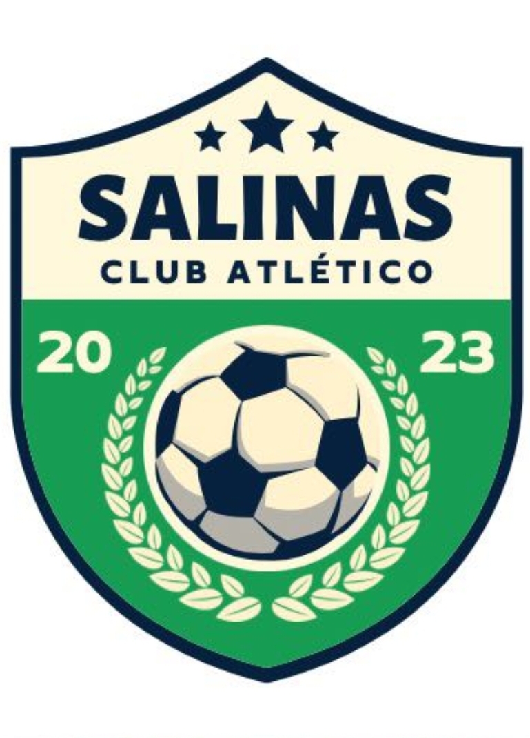 Logo de SALINAS